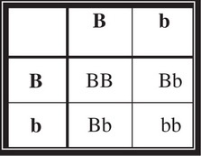 AP Biology Question 352: Answer and Explanation_crackap.com