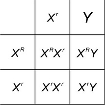 AP Biology Question 497: Answer and Explanation_crackap.com