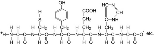 AP Biology Practice Test 42_crackap.com