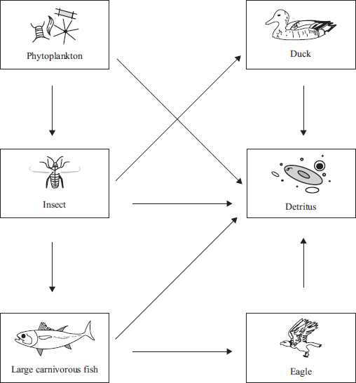 AP Environmental Science Free-Response Practice Test: Global Water ...