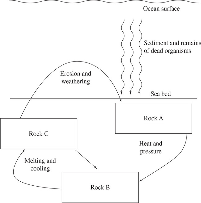 AP Environmental Science Practice Test