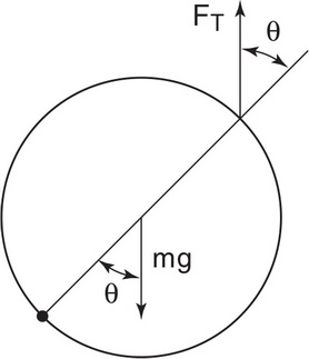 AP Physics C: Mechanics Question 168: Answer and Explanation_crackap.com